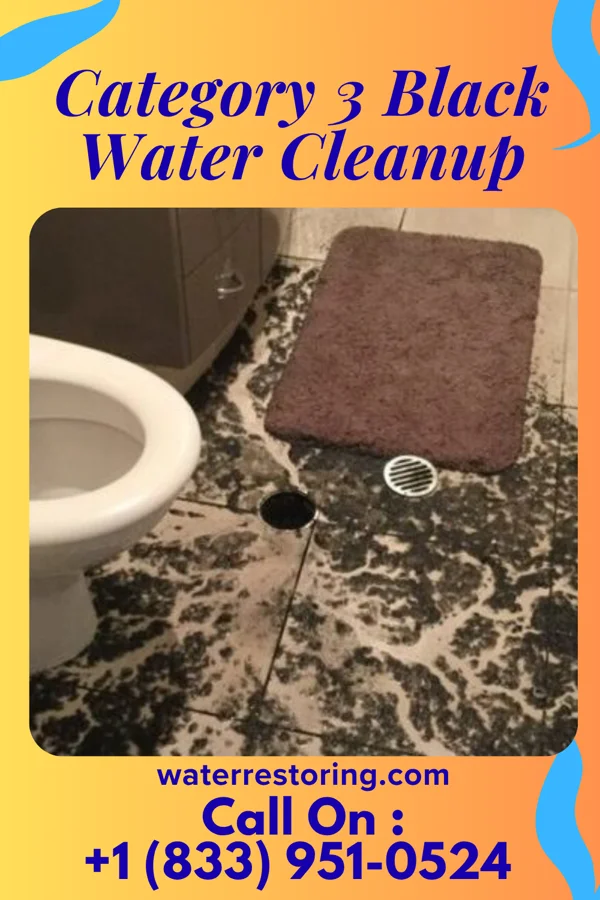 Category 3 Black Water Cleanup in Exeter, NE