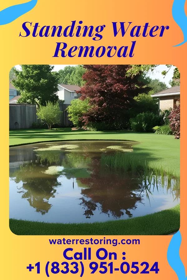 Standing Water Removal in Exeter, NE